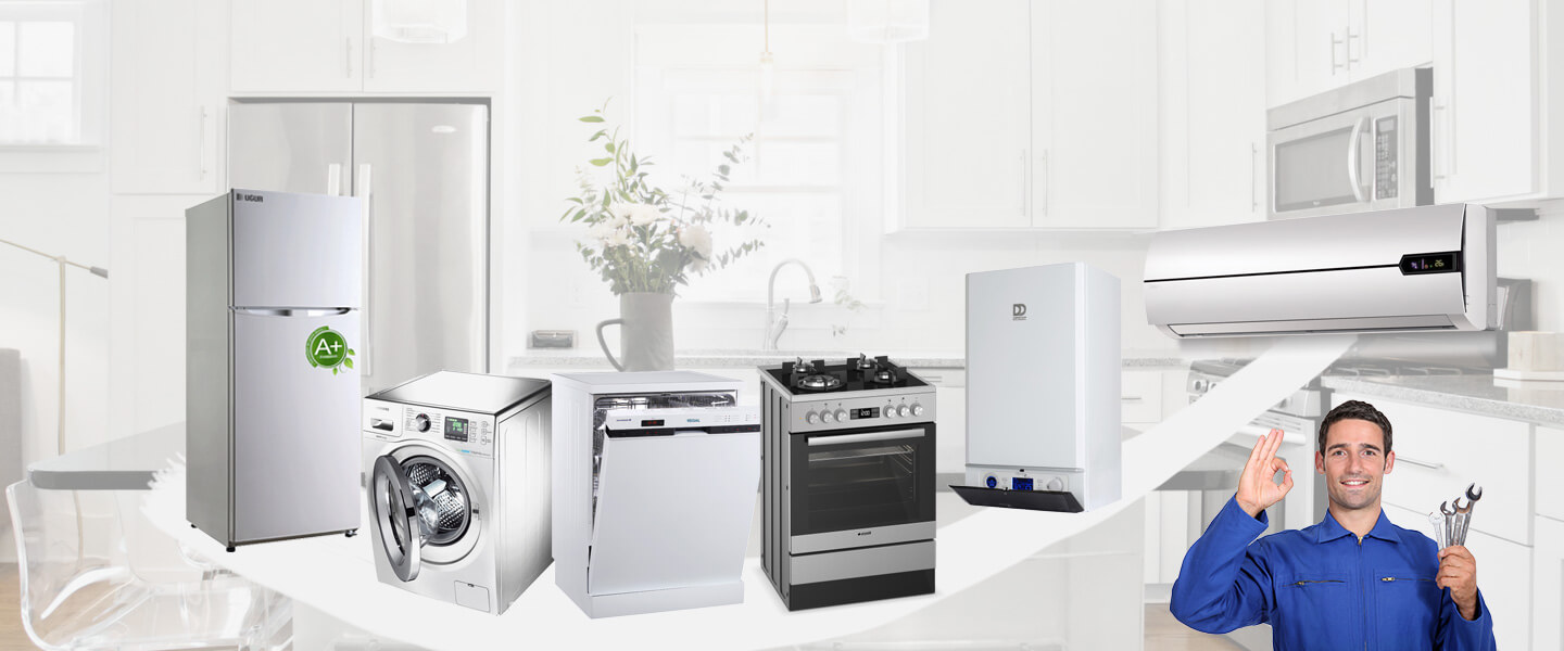 Maltepe Gorenje Servisi